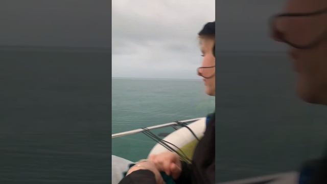 ВСЕХ ЖДЁМ НА РЕТРИТ ☝️ смотреть онлайн