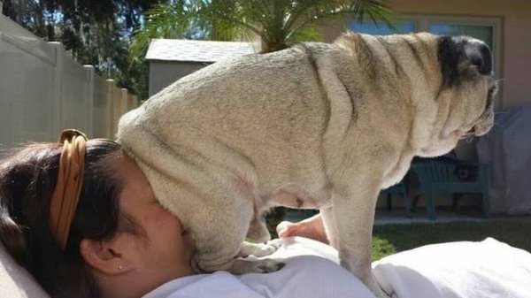 if you laugh, you lose 1 life (memes from hole)