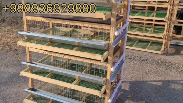 Bedana Biznes | бедана бизнес бошлаш | Arzon Biznes | 200 Ta Bedanadan Har Oy $100+ Foyda