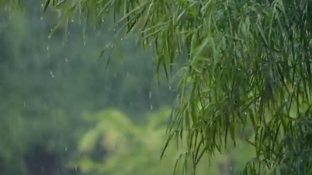 мы родились в//обзор канала//как Катя в гости ходила смотреть онлайн