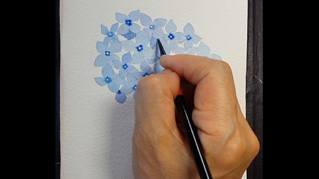 [Watercolor painting] Hydrangea 수국 смотреть онлайн