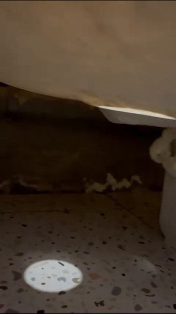 Образование и профессиональная поддержка