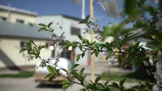 ECOPHARM - Pharmaceutical Company смотреть онлайн