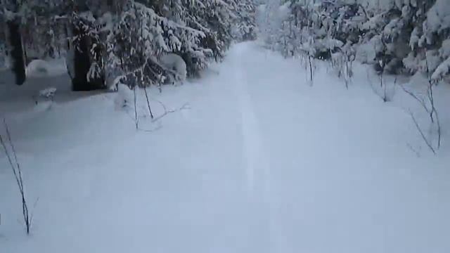 Лыжи, лес, зима//деревенская жизнь// смотреть онлайн