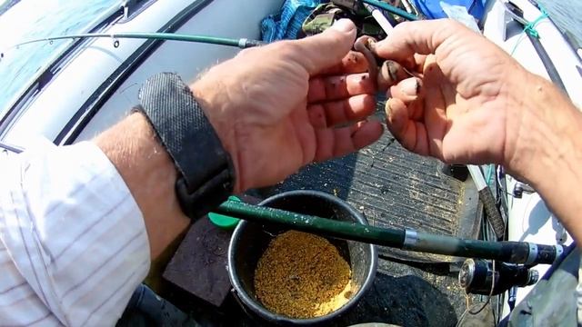 ловля леща в августе 2020 смотреть онлайн