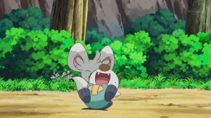Minccino tickling Pokemon anime scene [eng sub]