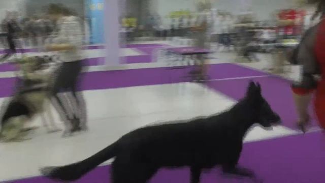 Оттепель смотреть онлайн