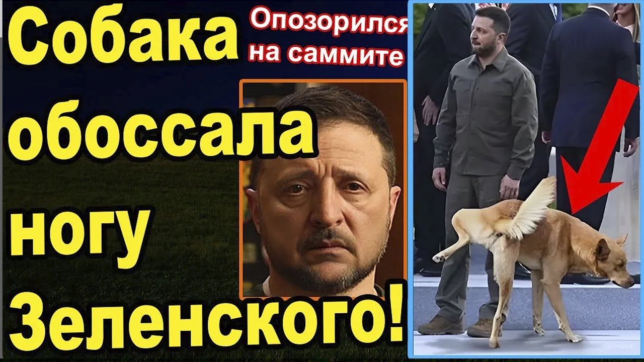 Позор на весь мир смотреть онлайн