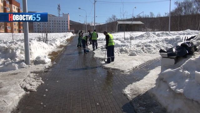Лечение или частичная замена. Специалисты проверяют состояние зеленых насаждений после зимы смотреть онлайн