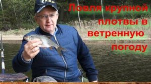 Ловля крупной плотвы в ветреную погоду.