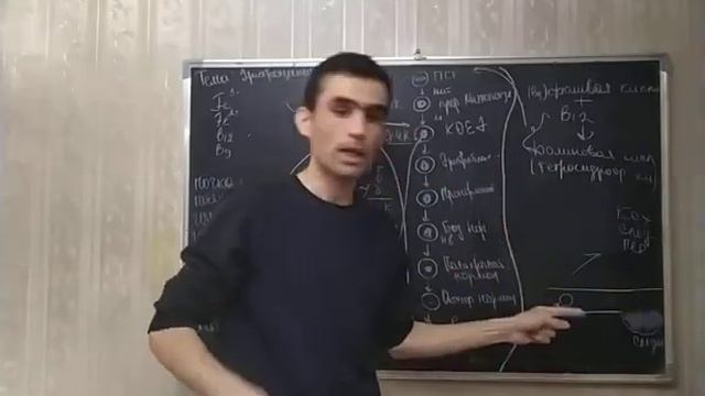 КРОВЬ ЭРИТРОЦИТЫ смотреть онлайн