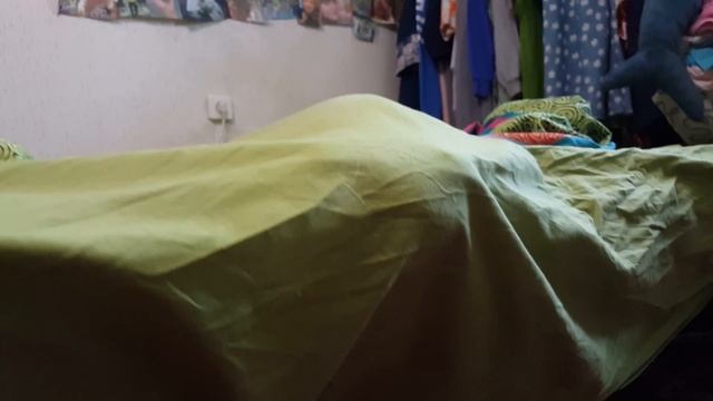 Кошка по кличке Мышка, это надо видеть! смотреть онлайн