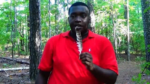 The Animal Adventurer Ep.1:Pilot смотреть онлайн