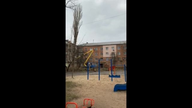 Валка тополя смотреть онлайн