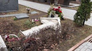 НОВОДЕВИЧЬЕ КЛАДБИЩЕ ПОСЛЕ СИЛЬНОГО УРАГАНА | МОСКВА 15 МАРТА 2025