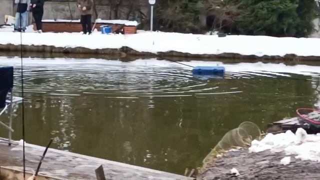 Голицыно Fish 13 апреля 2025 смотреть онлайн