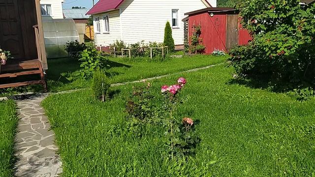 наша дача смотреть онлайн