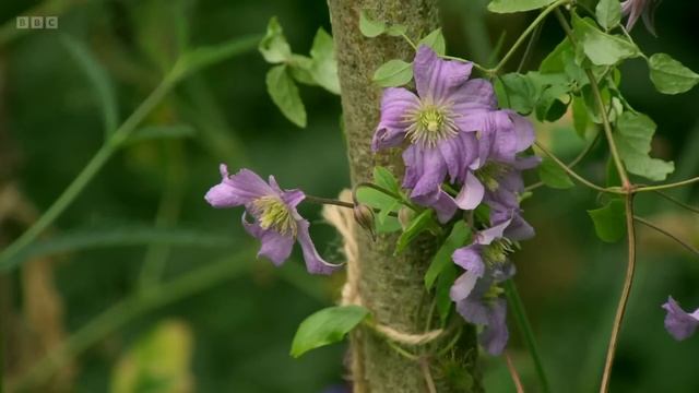 🔴 Gardeners'World 2022 | Gardeners' World Episode 30 2022