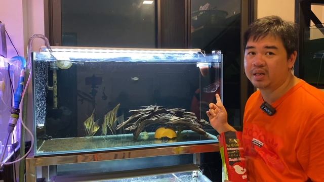 ที่ให้อาหารปลา แบบแขวนตู้ปลา
