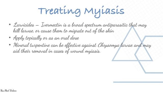 Skin Infections - Myiasis - Detailed Overview смотреть онлайн