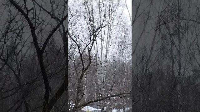 снег пушистый и игристый😊😍✨ красоту свою нам дарит 13.04 25