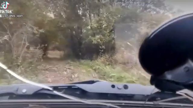 Осень. смотреть онлайн