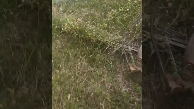 Кінська косілка 1987 року випуску а їй море по коліна смотреть онлайн