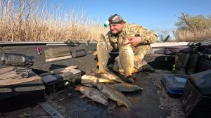 БЕШЕНЫЙ КЛЁВ САЗАНА! ПОЛНАЯ ЛОДКА РЫБЫ. ПЕРВЫЙ РАЗ ЛОВИМ ВТРОЁМ. РЫБАЛКА НА САЗАНА ВЕСНОЙ.