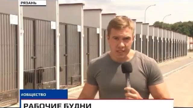 Новости Рязани 05 июля 2017 (эфир 15:00) смотреть онлайн
