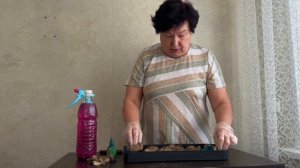 КАЛЛЫ.ДОСТАЕМ НА ПРОРАЩИВАНИЕ