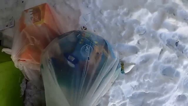 JACKPOT!! DUMPSTER DIVING BIGGEST SCORE! FREE HAUL смотреть онлайн