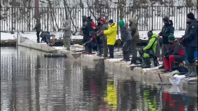 Поимки С.З. Часть 2 смотреть онлайн