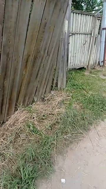 моя мечта,бревенчатый дом ❤️❤️❤️ смотреть онлайн