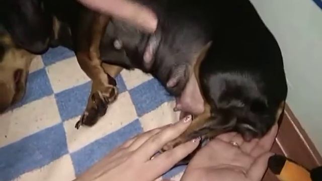 Рождение первенца смотреть онлайн