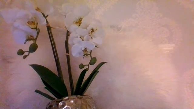 Maman Melanie Alobi Ba Verite pona Biloko смотреть онлайн