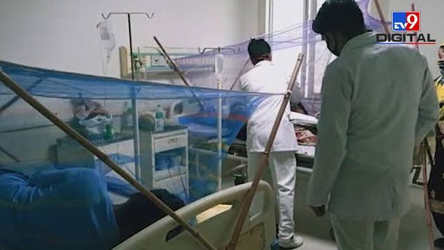 Dengue Fever: डेंगू में कभी भी ना करें ये काम, नहीं तो तेजी से गिर जाएंगी Platelets! | #TV9D смотреть онлайн