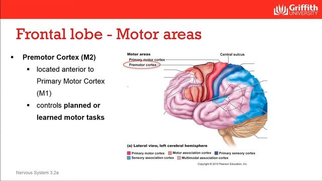 1016MSC Mod3 Topic 3 2a19min смотреть онлайн