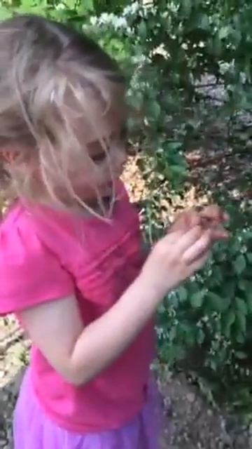 Erin explains honeysuckle смотреть онлайн