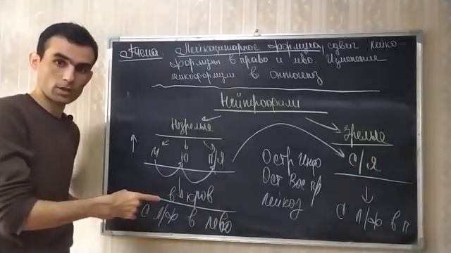 КРОВЬ ЛЕЙКОЦИТАРНАЯ ФОРМУЛА смотреть онлайн