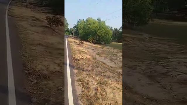 Eco- Farmland For Sale in ECR kadapakkam!! Dryland Farmlands Atmosphere!!25 acre's !!25000 per cent смотреть онлайн