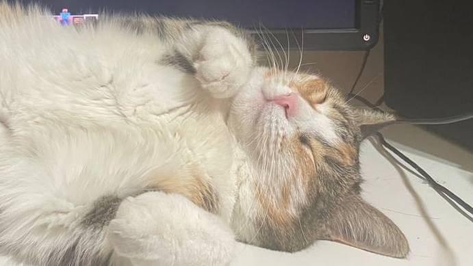 pvp-montage #4 смотреть онлайн