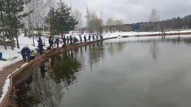 WhatsApp Video 2025-04-13 at 09.44.52 (1) смотреть онлайн