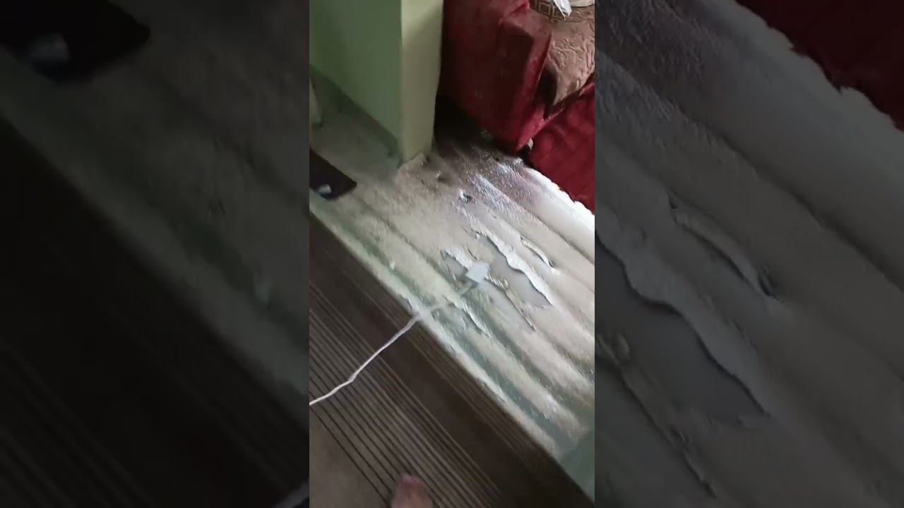 умная зарядка смотреть онлайн