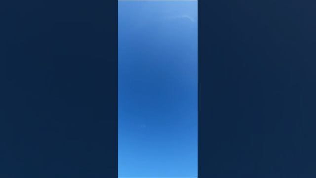Челябинск таджикские голуби смотреть онлайн