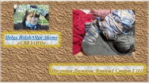 Носочная дюжина (41)