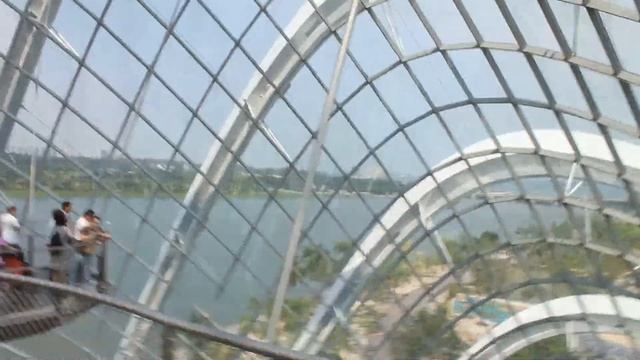 Cloud Forest (Gardens By The Bay) / Облачный Лес (Сады у Залива) смотреть онлайн