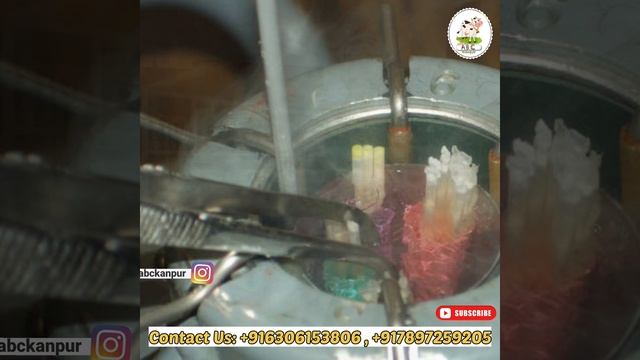 How To Buy Liquid Nitrogen Gas In India (Ln2) || लिक्विड नाइट्रोजन गैस कैसे कहां से खरीदें? смотреть онлайн