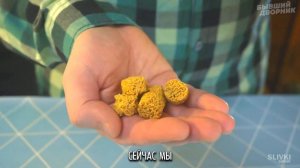 Сливки шоу | RYTP