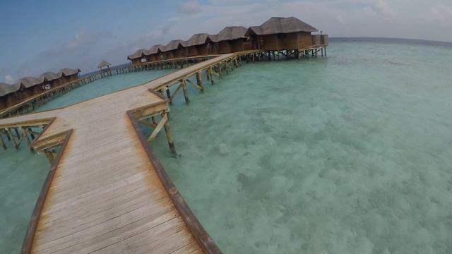 Мальдивы, Fihalhohi island. смотреть онлайн
