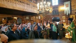 Проповедь на Литургии в Неделю ва́ий, Вербное воскресенье - Вход Господень в Иерусалим. 12.04.2025г.